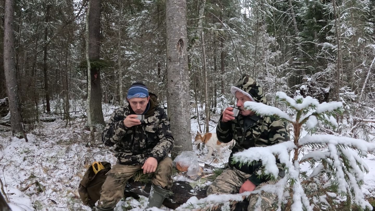 Промысловая охота на куницу! С батей на путике. смотреть онлайн