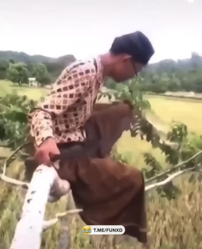 Когда с дистанционного обучения перешёл на практику😆 смотреть онлайн