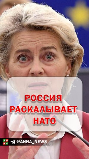 России удалось внести раскол в НАТО