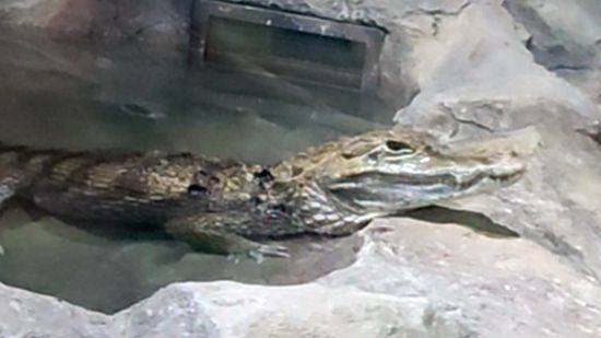 Наивысший уровень пофигизма смотреть онлайн