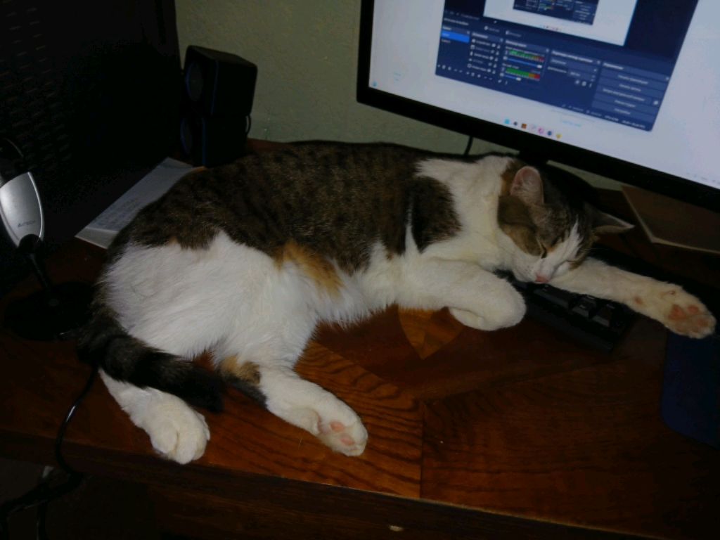 сплю 😴😴😴 смотреть онлайн