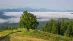 Пресвятой Богородице молимся, песнь молитва