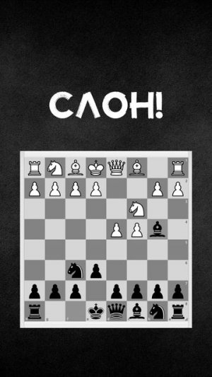 Главная фраза моей жизни: «Играем с тем, что имеем». По-моему, прикольно получилось😁 #шахматы