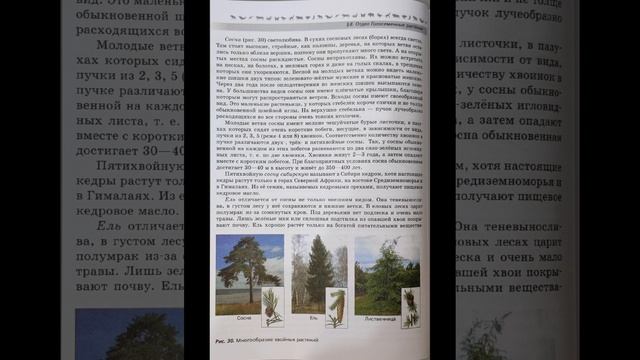 Биология 7 класс В.В. Пасечник §8. Отдел Голосеменные растения.