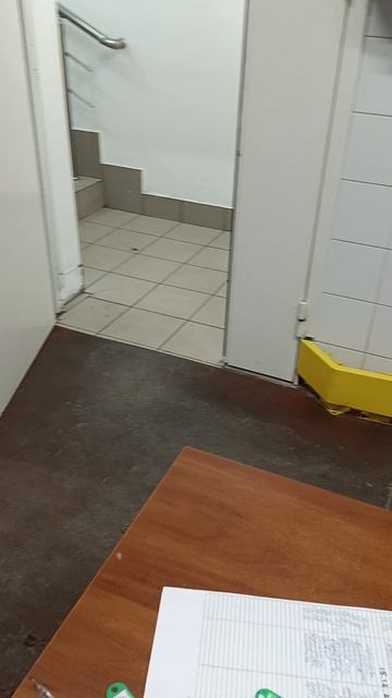 таракан? смотреть онлайн