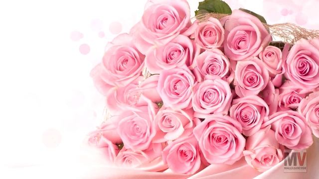 Розовые розы - Веселые ребята ( rock cover by Malex) смотреть онлайн