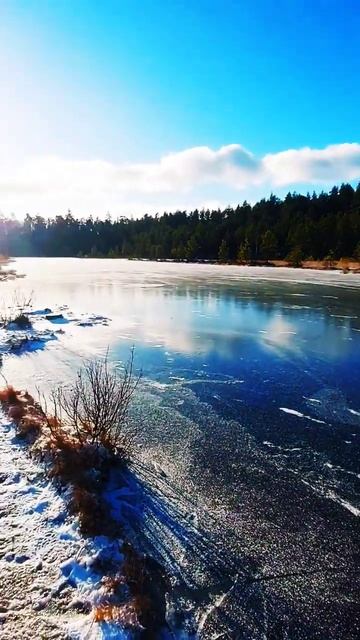 «Звенигородская биостанция МГУ и карьер Сима»    #russia #like #classic #travel #picture #мгу