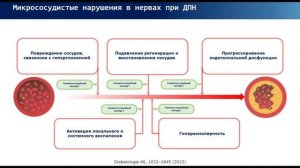 Новые возможности лечения полиневропатий