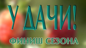 У Дачи: Финиш сезона