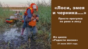 "Лоси, змея и черника..." Просто прогулка по реке и лесу. 21 июля 2021 года.