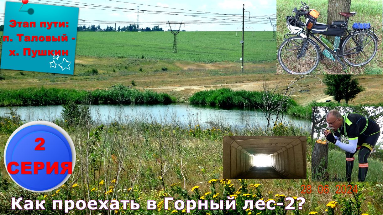 №380. Вело-ПВД в Горный лес 28 июня 2024, 2 серия.