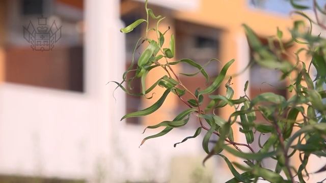 Провели совещание, посвящённое годовщине крушения танкеров в Чёрном море смотреть онлайн