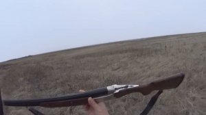 Охота на зайца! 6 декабря. Самая короткая охота в этом году! #hunting #тоз34 #охотаназайца