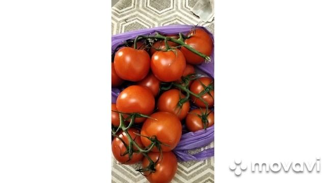 Купил в ларьке фрукты и овощи Азербайджанские помидоры на ветке по супер цене
