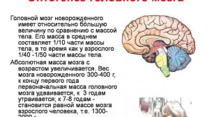 Физиология ребенка. Л2. Возрастные особенности ЦНС. Толмачева Е.А.