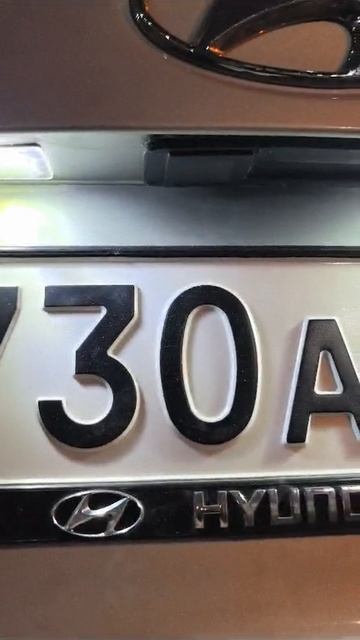 Выдвижная камера Хендай солярис