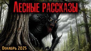 ЛЕСНЫЕ РАССКАЗЫ | Страшные истории