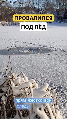 ℹ️ Человек ПРОВАЛИЛСЯ ПОД ЛЁД!🥶 #рыбалка #fishing #первыйлед смотреть онлайн