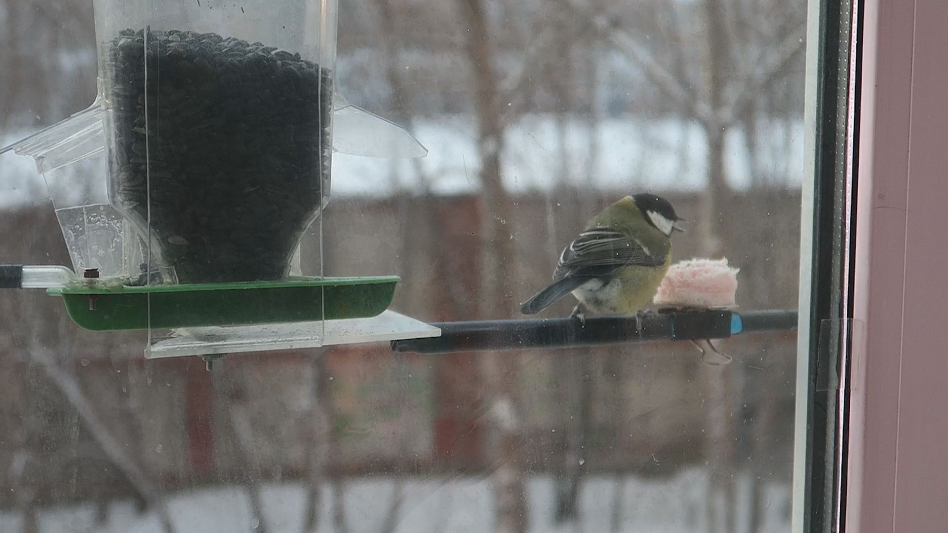 MVI_4347 смотреть онлайн