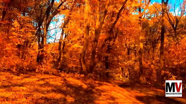 Осень - гр.Спасение (кавер) смотреть онлайн