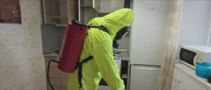 Бизнес на обработке от тараканов пошёл не по плану