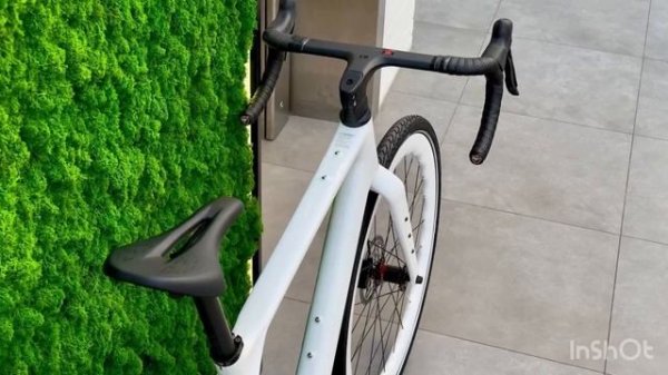 🔥Twitter Gravel X New