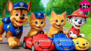 Щенячий патруль и Маршалл. Залипательное видео. Мультфильм для детей и малышей. Анимация