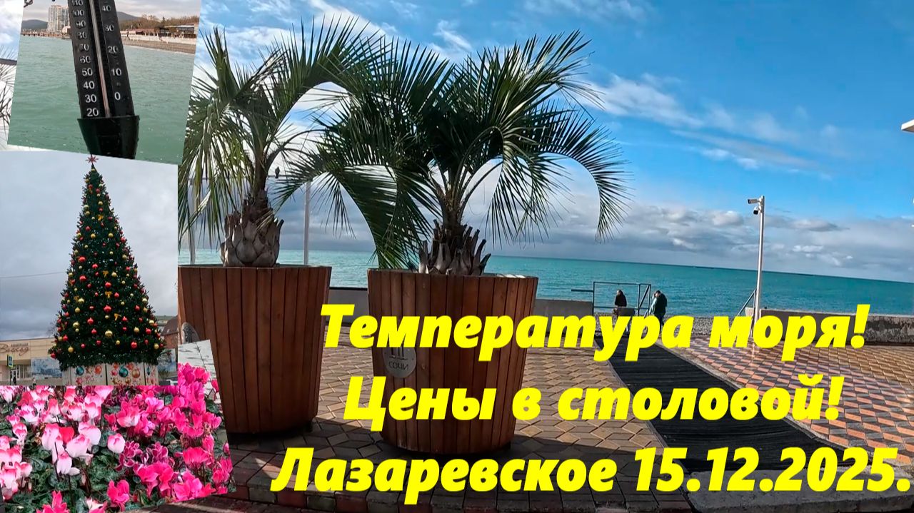 Температура моря! Цены в столовой и ул.Ушакова. Лазаревское 15.12.2025. смотреть онлайн