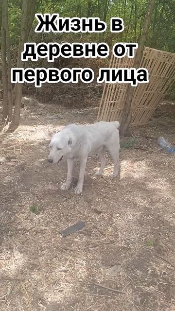 А жизнь то налаживается смотреть онлайн