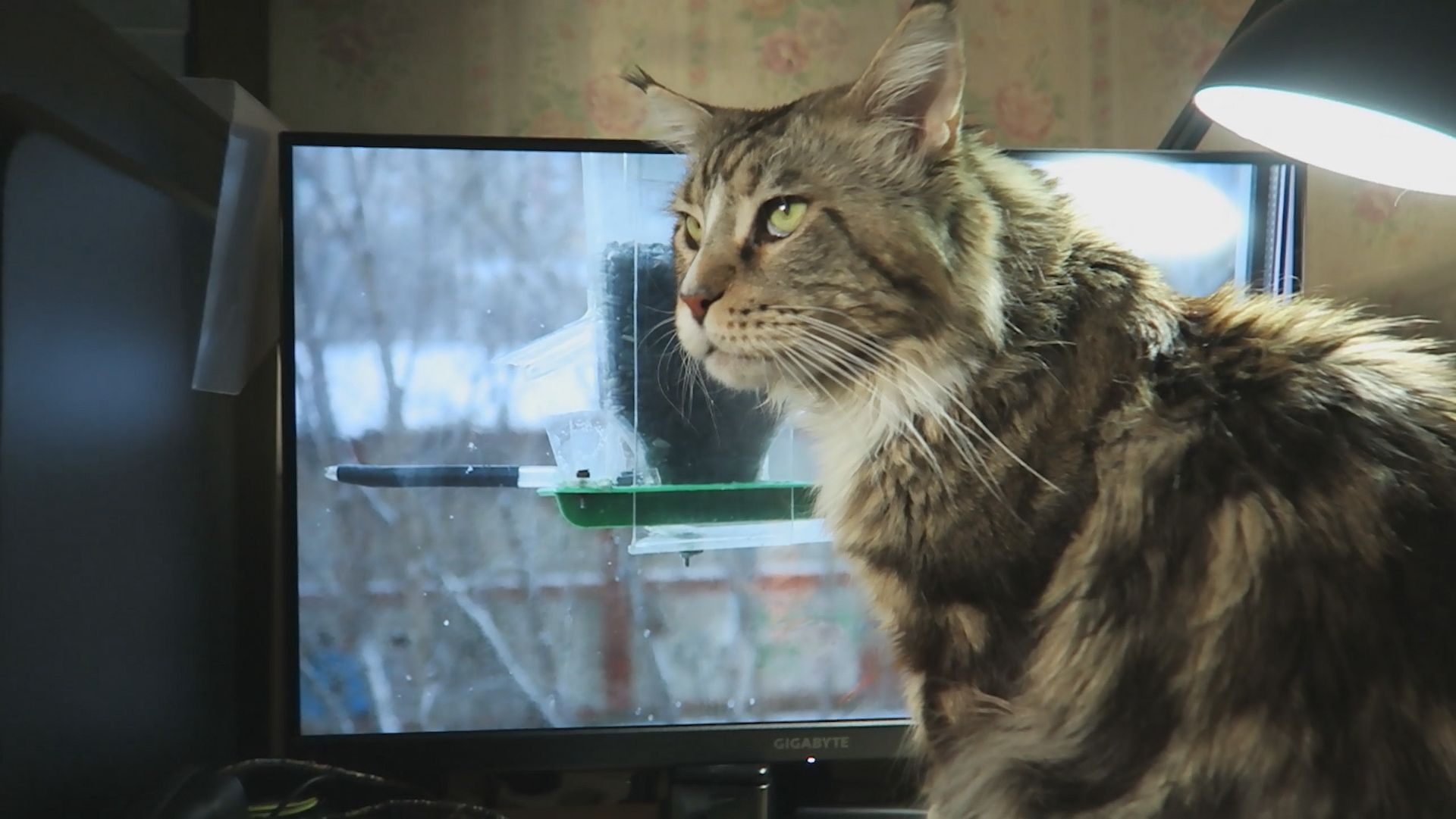 MVI_4348 смотреть онлайн