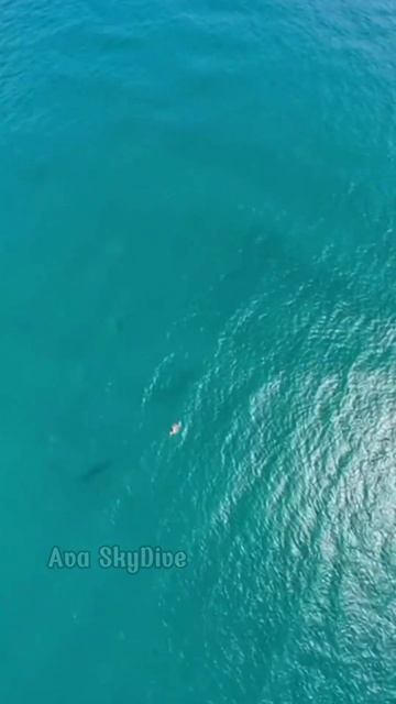 С высоты в океан смотреть онлайн