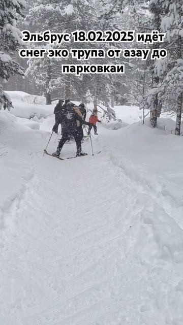 Эльбрус тропа от азау до парковки 18.02.2025 обучение катанию на горных лыжах, 89283344433 смотреть онлайн