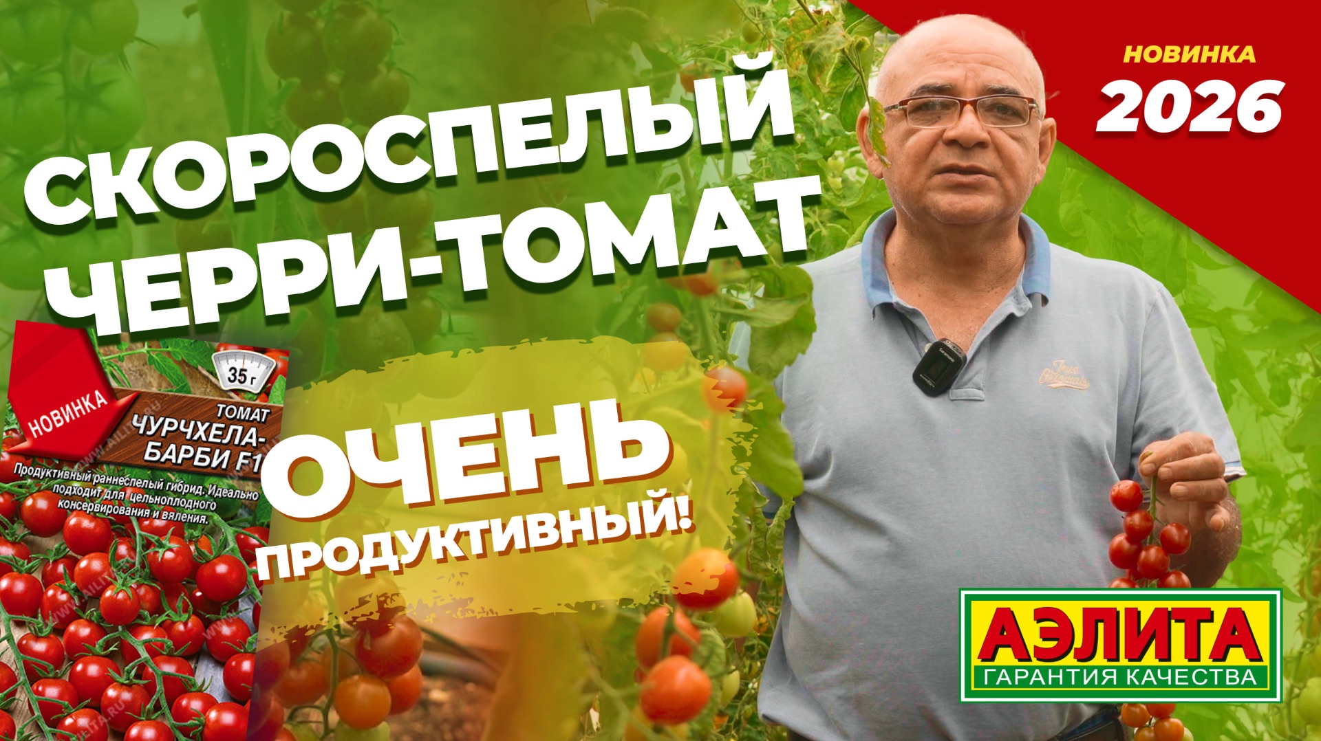 Новинка черри 2026! Продуктивный раннеспелый томат ЧУРЧХЕЛА-БАРБИ F1