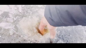 Загубье лёд щука