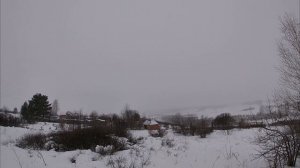 охота на зайца