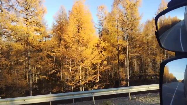 ЛД: Тында коробке смотреть онлайн