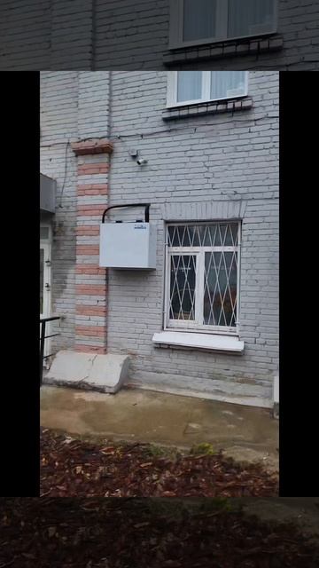 Холодильная витрина для цветов, сплит система Intercold Mcm 219.mp4