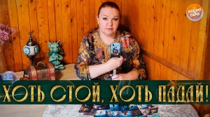 ХОТЬ СТОЙ, ХОТЬ ПАДАЙ! ЧТО ТЫ ДОЛЖНА ЗНАТЬ О НЕМ СЕЙЧАС?