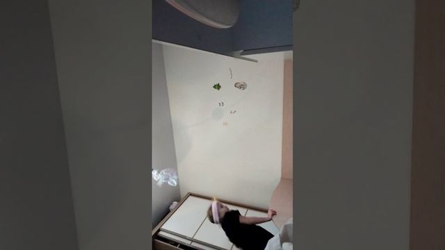 325.mp4 смотреть онлайн