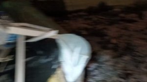 📢🤓Поедем поглядим🧐Находки🔥🔥🔥📢