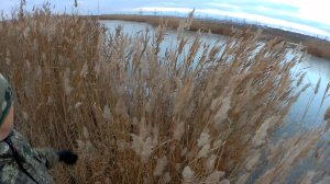 ВОТ ЭТО ДА! Я В ШОКЕ! ЧТО Я РАНЬШЕ СЮДА НЕ ПРИЕХАЛ... СУПЕР МЕСТО...