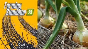 Уборка лука / FS25 Карта ЗарЯ ч.8 / Farming Simulator 25 🐄🌻🌽