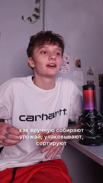 «Мандарины» 🍊 смотреть онлайн