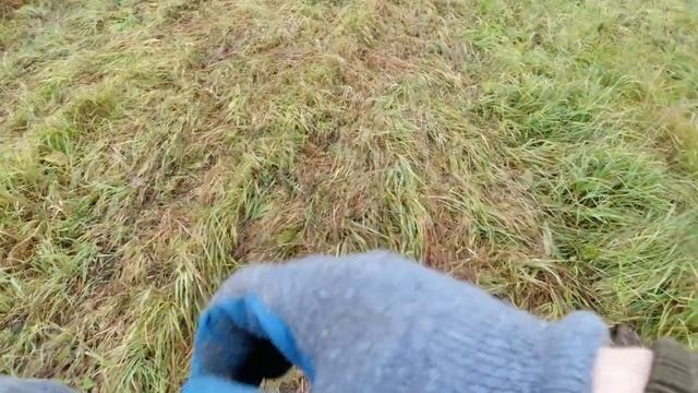 Поиск кладов с металлоискателем DEUS 1. Часть 6. Первый выход. #коп_монет #коп