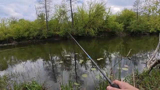 НЕ ЗРЯ ОСТАЛСЯ РЫБАЧИТЬ В ДОЖДЬ ДО ПОЗДНЕГО ВЕЧЕРА! Рыбалка в красивом и спокойном месте. смотреть онлайн