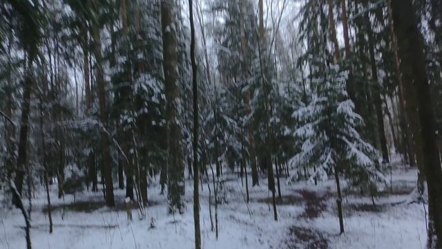 лес fpv дорога 26 ноября 2025 смотреть онлайн