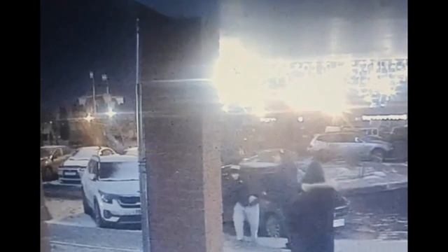 🎄В Щербинке неизвестные похитили новогоднюю ёлку из подъезда🎄 смотреть онлайн