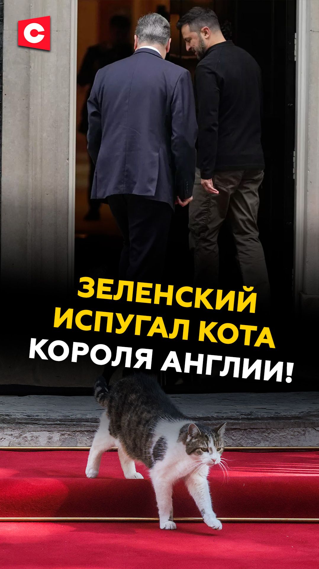 ПЛОХОЙ ЗНАК! Кот английского короля убежал при виде Зеленского! #стармер #зеленский #ес #новости смотреть онлайн
