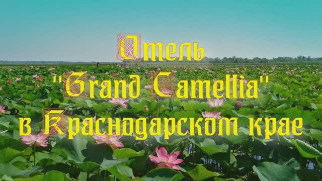 Отель «Grand Camellia» в Краснодарском крае