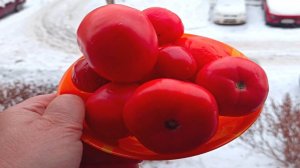 Никогда бы не подумала, что так бывает! ПОМИДОРЫ сохранились до Нового года!